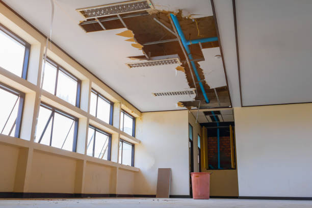 Best Mold removal after water damage  in Columbus, NE