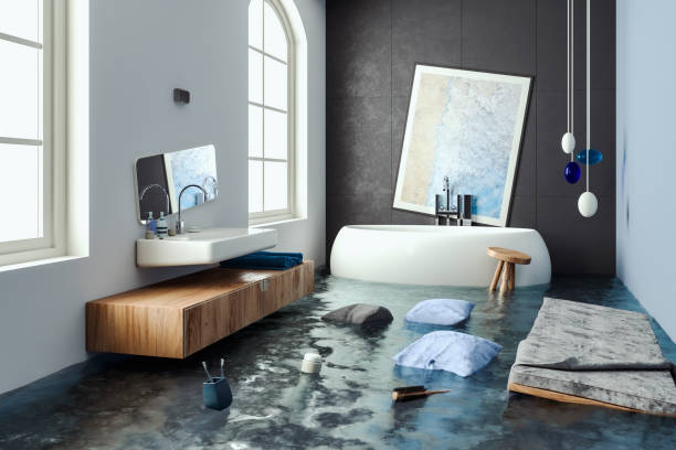 Carpet water damage restoration in NE