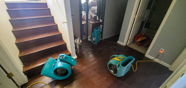 Best Local water damage restoration  in Columbus, NE