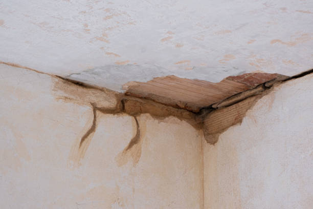Best Commercial water damage restoration  in Columbus, NE