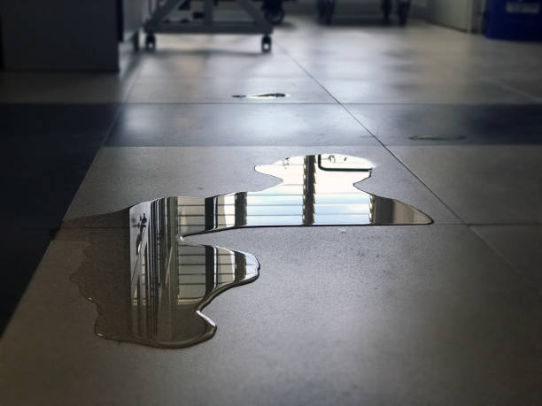 Best Commercial water damage restoration  in Columbus, NE