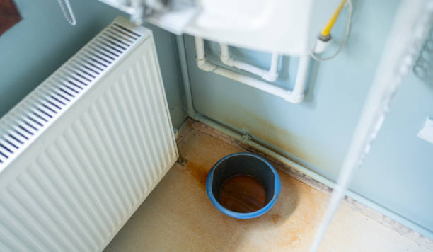 Best Ceiling water damage repair  in Columbus, NE