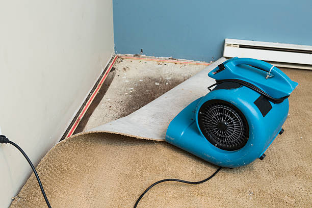 Best 24-hour water damage restoration  in Columbus, NE